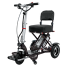 Triaxe Sport Folding Scooter