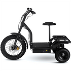 MotoTec 48v 1200w Electric Power Trike