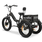 GoBike FORZA Electric Tricycle