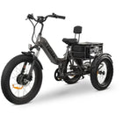 GoBike FORZA Electric Tricycle