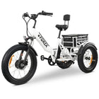 GoBike FORZA Electric Tricycle