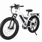 X-Treme Rocky Road 48V 17 Amp Fat Tire Electric Mountain Bicycle