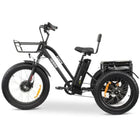 GoBike FORTE Electric Tricycle