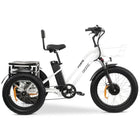 GoBike FORTE Electric Tricycle