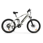 GoBike ROBUSTO Electric Mountain Bike