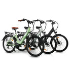 GoBike SOLEIL Electric City Bike