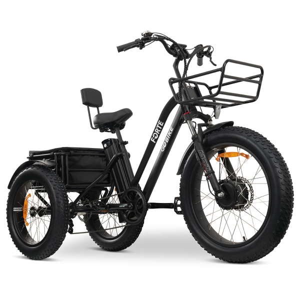 GoBike FORTE Electric Tricycle