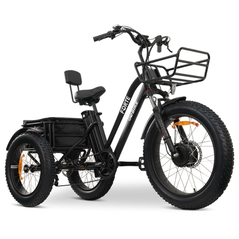 GoBike FORTE Electric Tricycle